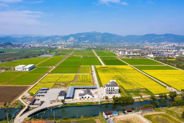 寧波海曙古林?jǐn)?shù)字大田.png 寧波海曙古林?jǐn)?shù)字大田.png